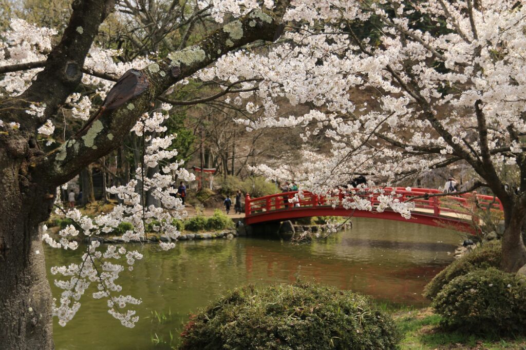 m Japan Garten sind Bonsai-Bäume von zentraler Bedeutung, da sie durch kunstvolles Beschneiden und Drahten in Miniaturform die Essenz der Natur verkörpern.