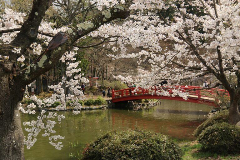 Was zeichnet einen Japan Garten aus und wie gestaltet man ihn?